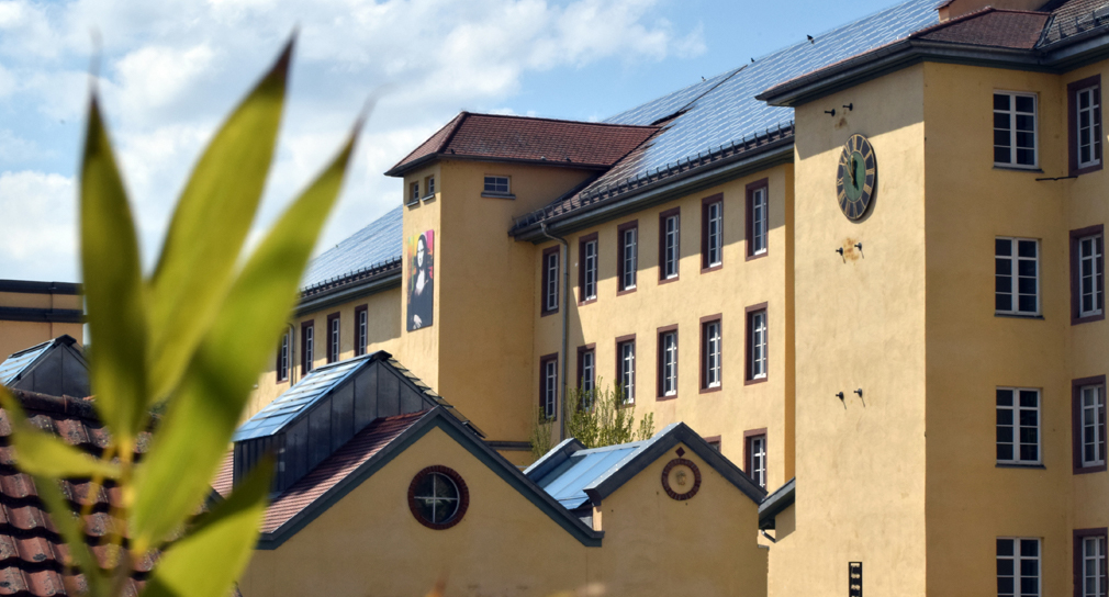 Foto Seminar mit Blättern